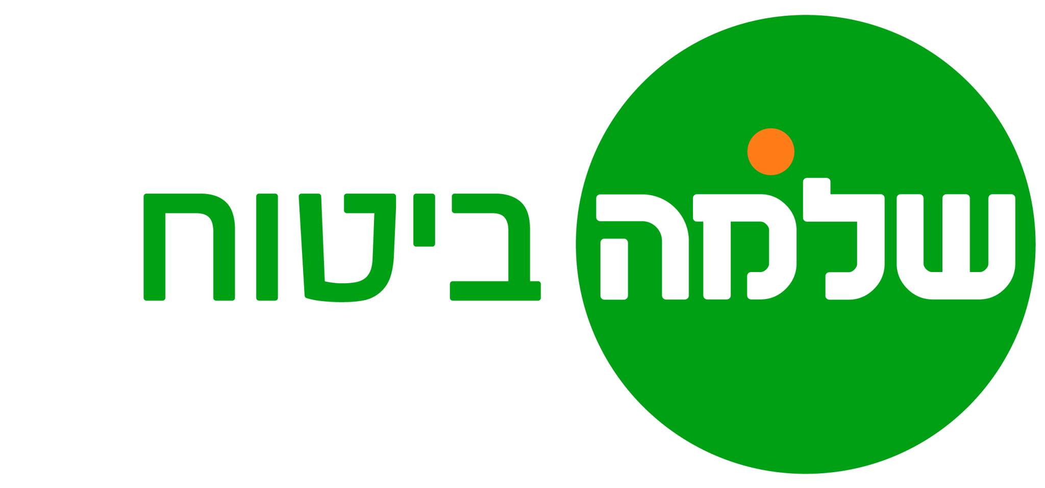 שלמה ביטוח לוגו